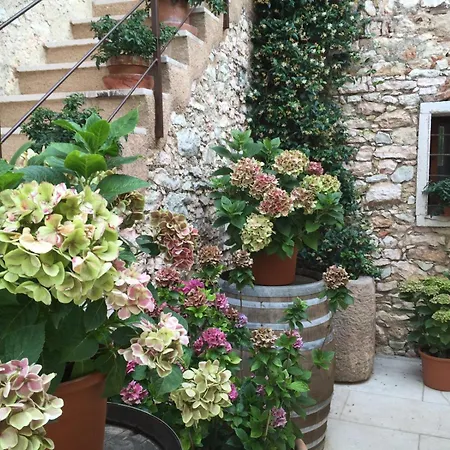 Ca' SantʼAmbrogio di Valpolicella