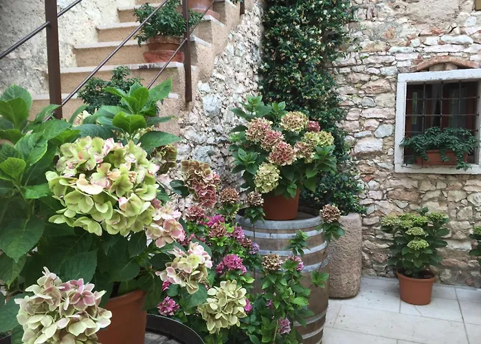 Ca' SantʼAmbrogio di Valpolicella